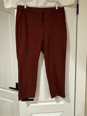 Express Cropped Pants in Brick Red NWOT